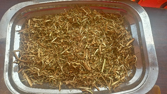 Iboga Root