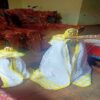 Bwiti Harp